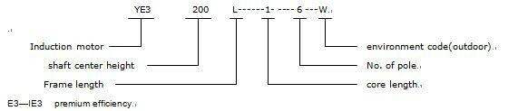 Induction Motor